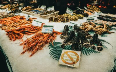 Galicia y Mallorca: De Oeste a Este, un viaje combinado entre tradición y paraíso